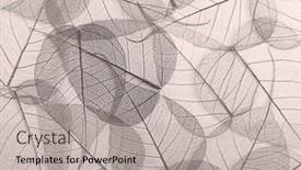  Presentation with skeleton - PPT theme featuring monochrome-skeleton-leaves-background-patterh background and a light gray colored foreground