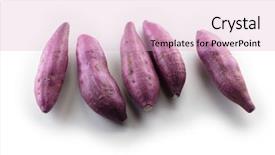  Presentation with sweet - Beautiful PPT theme featuring monocots plants - sweet potatoes or satsumaimo isolated backdrop and a lemonade colored foreground