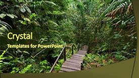  Presentation with jungle - Cool new theme with deep borneo jungle under rain backdrop and a tawny brown colored foreground