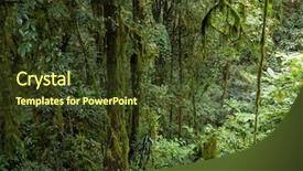  Presentation with vine - Slides enhanced with deep jungle under rain background and a tawny brown colored foreground