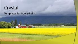  Presentation with rapeseed - Audience pleasing slide deck consisting of monsoon - yellow rapeseed fields in montana backdrop and a light blue colored foreground