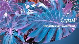  Presentation with tropical forest - Presentation theme featuring monstera plants nature background ultraviolet background and a teal colored foreground