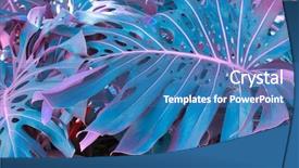  Presentation with nata de coco tropical - Cool new presentation theme with monstera plants nature background ultraviolet backdrop and a teal colored foreground