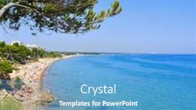  Presentation with miami - Amazing PPT theme having mont-roig-del-camp-spain backdrop and a teal colored foreground