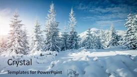  Presentation with climate - Amazing slide set having monta rusa - magic image of spruces glowing backdrop and a light blue colored foreground