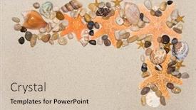  Presentation with aquatic - Presentation theme with montage-frame-of-sealife background and a soft green colored foreground