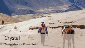  Presentation with tranzum companies and service - Beautiful presentation design featuring montana de siete colores rainbow backdrop and a soft green colored foreground