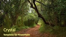  Presentation with forest - Amazing PPT theme having montane forest in sa limpopo backdrop and a tawny brown colored foreground