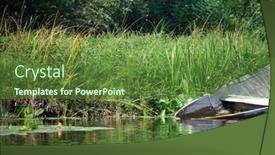  Presentation with lake - Audience pleasing theme consisting of montenegro-lake-scutari-skadar backdrop and a tawny brown colored foreground