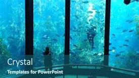  Presentation with fish aquarium - Cool new slide deck with monterey-march-2-visitors-view backdrop and a ocean colored foreground