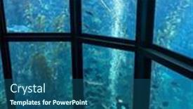  Presentation with fish aquarium - PPT theme having monterey-march-2-visitors-view background and a ocean colored foreground