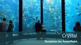  Presentation with fish aquarium - Audience pleasing theme consisting of monterey-march-2-visitors-view backdrop and a ocean colored foreground