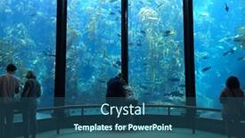  Presentation with fish aquarium - PPT theme with monterey-march-2-visitors-view background and a ocean colored foreground