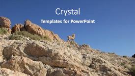  Presentation with sahara - Colorful PPT theme enhanced with wether - monument of sheep sahara chebika backdrop and a ocean colored foreground