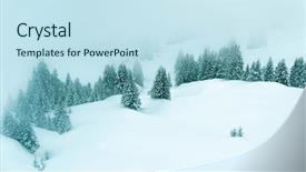  Presentation with scenery - Presentation theme featuring moody winter scenery of trees background and a sky blue colored foreground