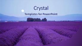  Presentation with lavender flowers - Audience pleasing presentation theme consisting of moon above lavender field backdrop and a light blue colored foreground
