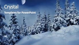  Presentation with moon trees - Presentation theme having landscape with snow covered trees background and a teal colored foreground