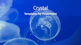 Presentation with jellyfish - Presentation enhanced with moon jellyfish drifting softly underwater background and a cobalt blue colored foreground