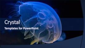  Presentation with jellyfish - Cool new PPT theme with moon jellyfish in an aquarium backdrop and a ocean colored foreground