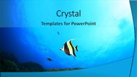  Presentation with fish at sea - Theme with moorish idol fish in sea background and a white colored foreground