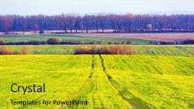  Presentation with agriculture field - Slide set having moravian agriculture field in spring background and a gold colored foreground