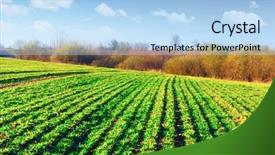  Presentation with modern agriculture icons and field - Presentation design enhanced with moravian agriculture field in spring background and a light blue colored foreground