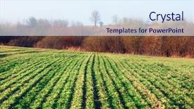  Presentation with agriculture field - Cool new slides with moravian agriculture field in spring backdrop and a sky blue colored foreground