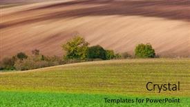  Presentation with lavendar fields - Slides with moravian fields - czech republic - nature background and a gold colored foreground