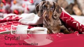  Presentation with pen laptop coffee cup clips - PPT layouts with morning and coffee cup next background and a red colored foreground