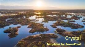  Presentation with purple morning fall - Amazing theme having morning-at-the-uniquie-yelnya backdrop and a tawny brown colored foreground