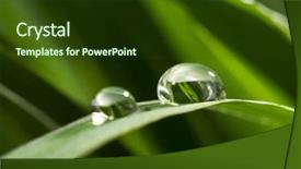  Presentation with water drop green planet - Beautiful presentation featuring morning dew - drops with green grass backdrop and a  colored foreground