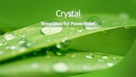  Presentation with green morning - Beautiful PPT layouts featuring morning dew - green grass with raindrops backdrop and a shamrock green colored foreground