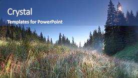  Presentation with green morning - PPT theme enhanced with morning dew drops on the green grass background and a ocean colored foreground