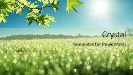  Presentation with green morning - Audience pleasing slide set consisting of morning dew on green grass backdrop and a soft green colored foreground