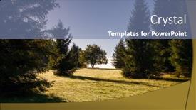  Presentation with autumn morning - Slides having morning-dew-on-the-grass background and a seafoam green colored foreground