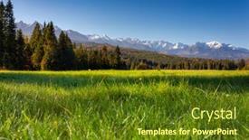  Presentation with autumn morning - Presentation enhanced with morning-dew-on-the-grass background and a tawny brown colored foreground