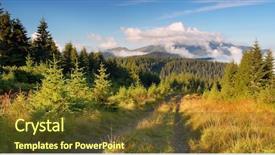  Presentation with forest morning - Colorful presentation design enhanced with morning fog and spruce backdrop and a tawny brown colored foreground