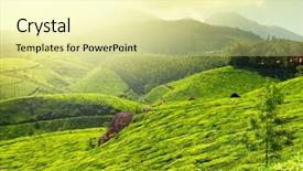  Presentation with munnar - Amazing PPT theme having morning fog munnar kerala india backdrop and a blonde colored foreground