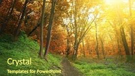  Presentation with green forest morning - PPT theme consisting of morning forest and bright sunset and floor are green and trees are orange background and a tawny brown colored foreground