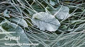  Presentation with green morning - Presentation theme featuring morning frost on green plants background and a gray colored foreground