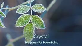  Presentation with autumn morning - Colorful presentation theme enhanced with morning-frost-on-green-plants backdrop and a ocean colored foreground