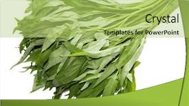  Presentation with isolated fall oak leaf - Audience pleasing presentation consisting of morning glory - bundle of ipomoea aquatica leaves backdrop and a yellow colored foreground