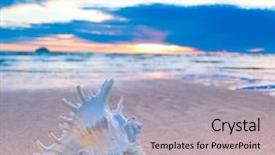  Presentation with seashell - PPT theme featuring cloudscape ethereal - horizon seashell shore background and a soft green colored foreground
