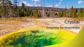  Presentation with catholic glory - Beautiful PPT theme featuring bacteria trees - morning glory pool backdrop and a yellow colored foreground