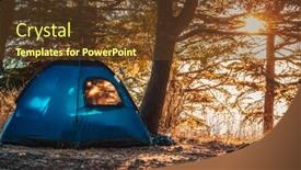  Presentation with forest morning - Theme having morning-in-the-cedars-forest background and a tawny brown colored foreground