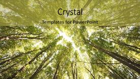  Presentation with green forest morning - Slides featuring morning in the green forest background and a  colored foreground