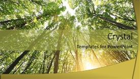  Presentation with divine - Theme consisting of morning in the green forest background and a  colored foreground