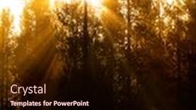  Presentation with misty - Beautiful theme featuring morning-light-streaming-streams-through backdrop and a wine colored foreground