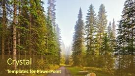  Presentation with forest morning - Theme consisting of morning-mist-on-the-emerald background and a tawny brown colored foreground