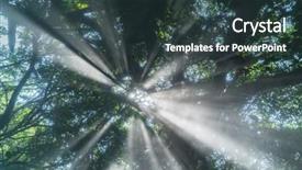  Presentation with forest morning - Colorful theme enhanced with morning mist rises up backdrop and a tawny brown colored foreground